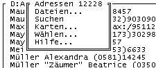 adr_menue.jpg